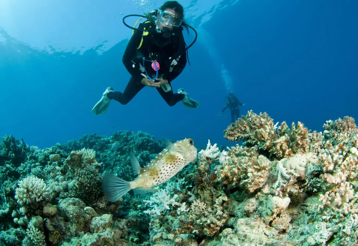 Explore diving and snorkelling